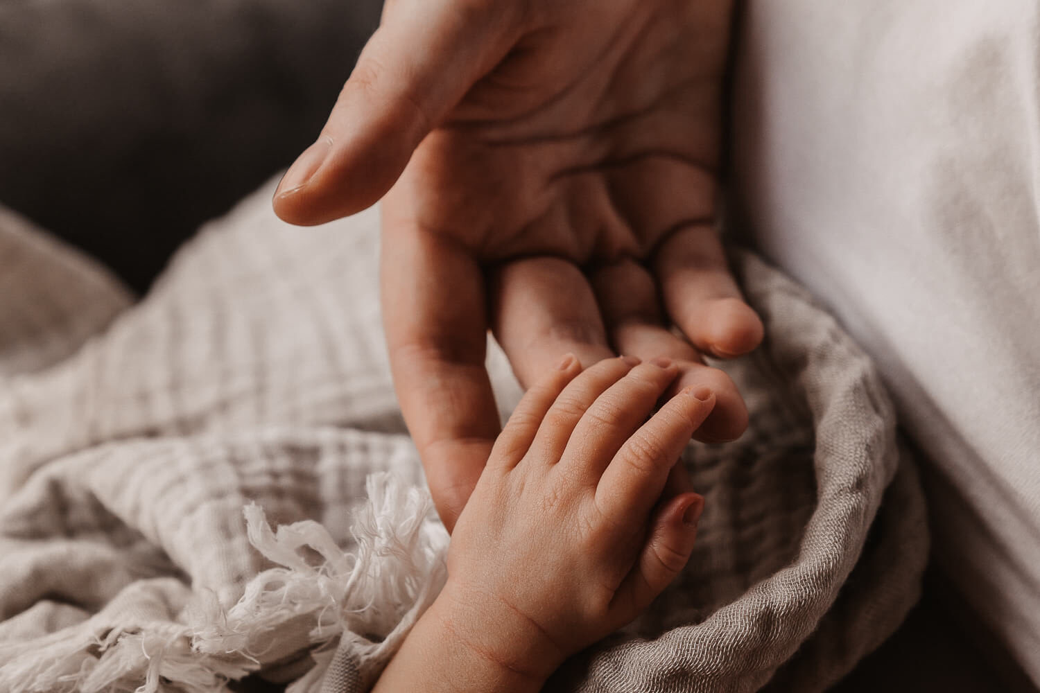 Fotografin Henstedt-Ulzburg und Umgebung_Newbornhomestory
